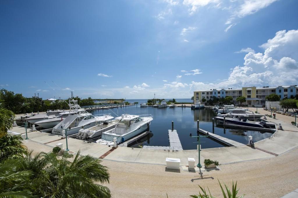 Licensed Mgr - 3/3.5 Modern Villa - Key Largo'S Premier Oceanfront Resort And Marina! Exterior photo